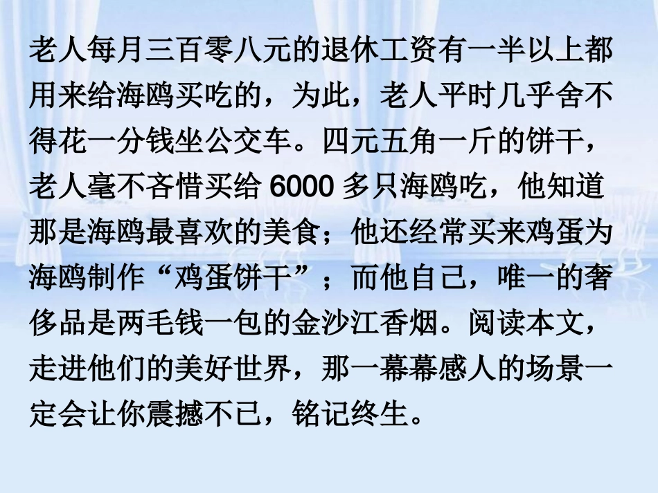 《老人与海鸥》课件1_第3页