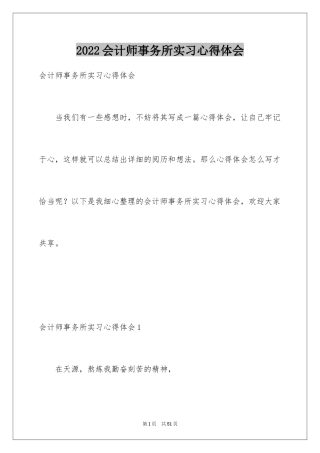 2024会计师事务所实习心得体会_3