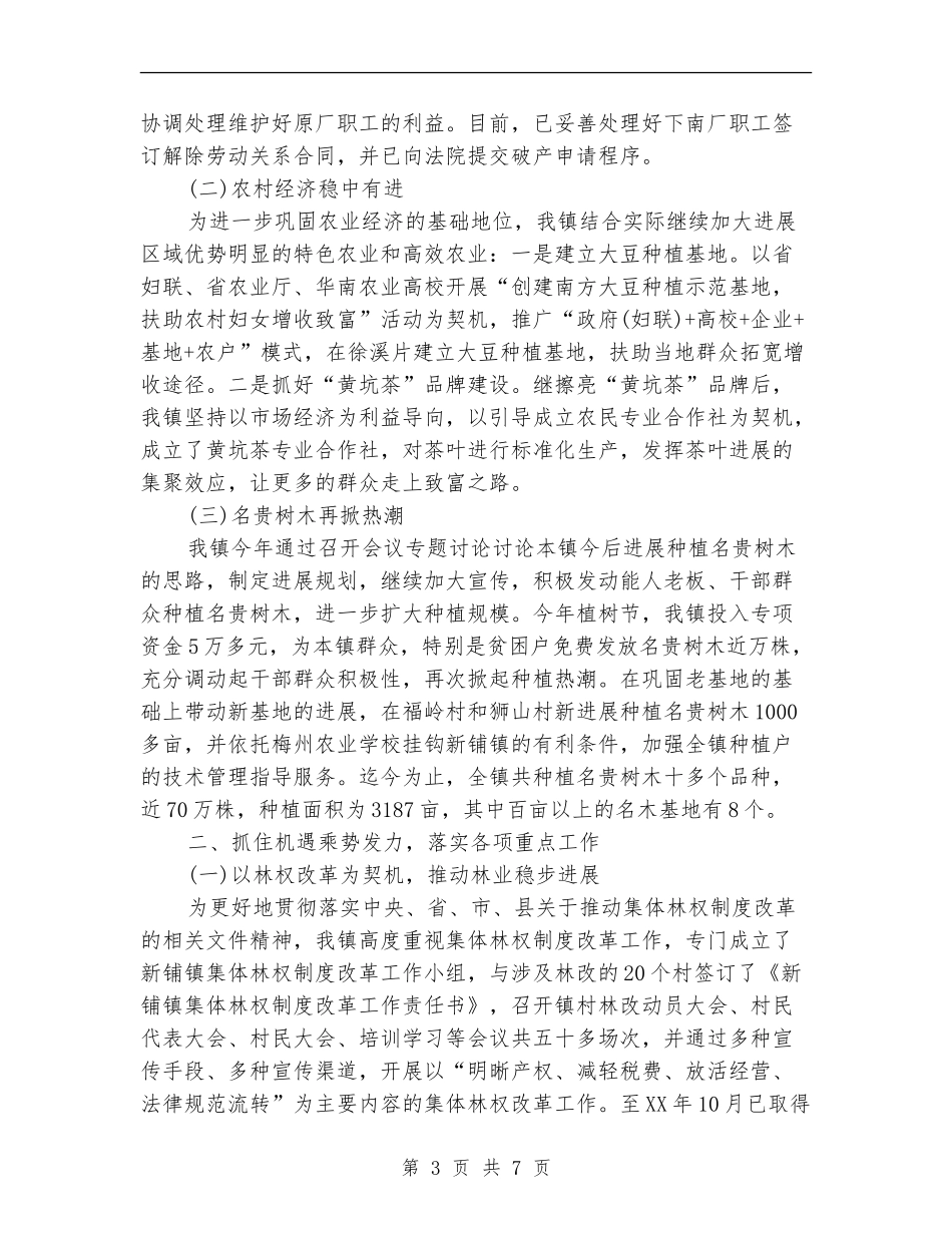 2024年3月乡镇工作总结_第3页