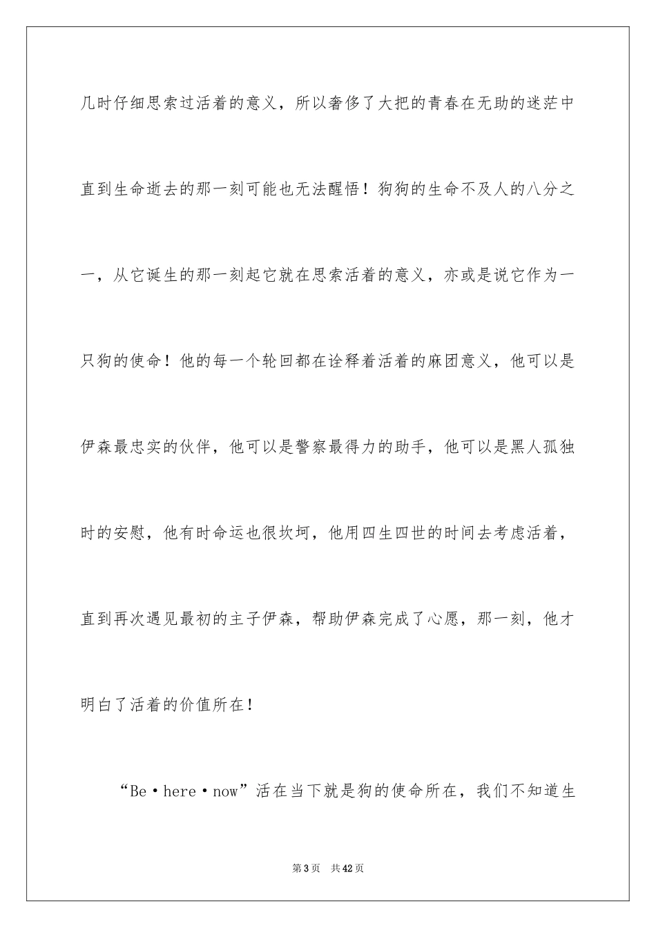 2024一条狗的使命观后感_3_第3页