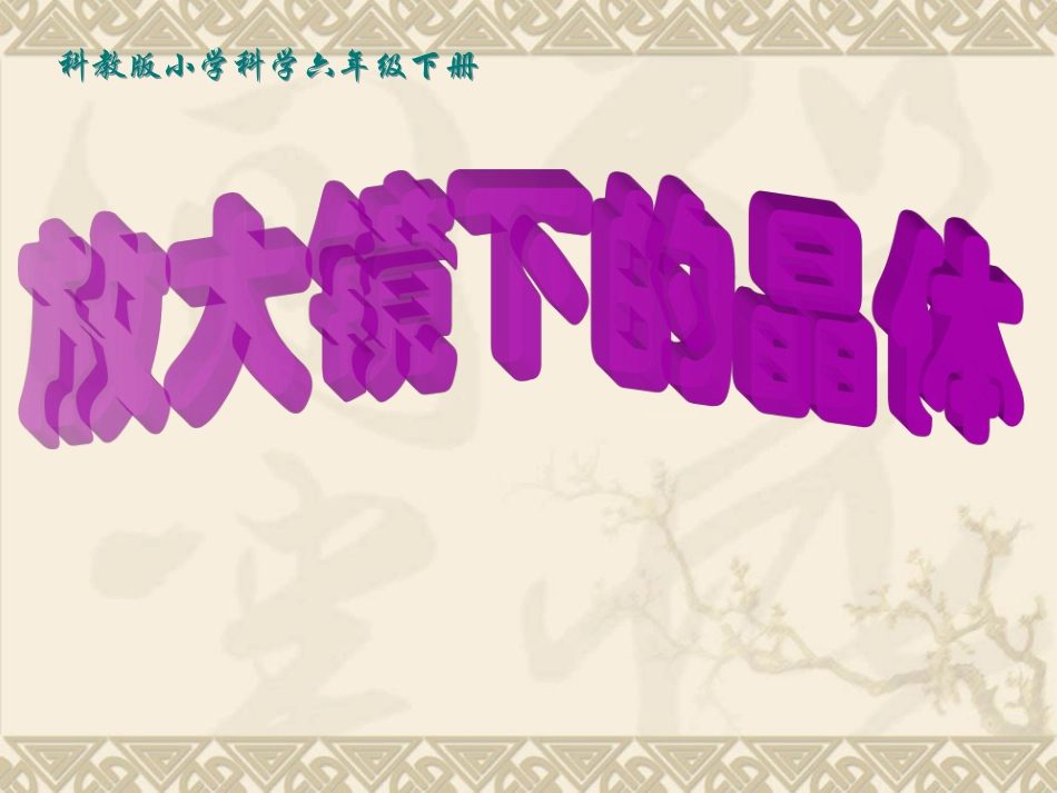 放大镜下的晶体_第1页