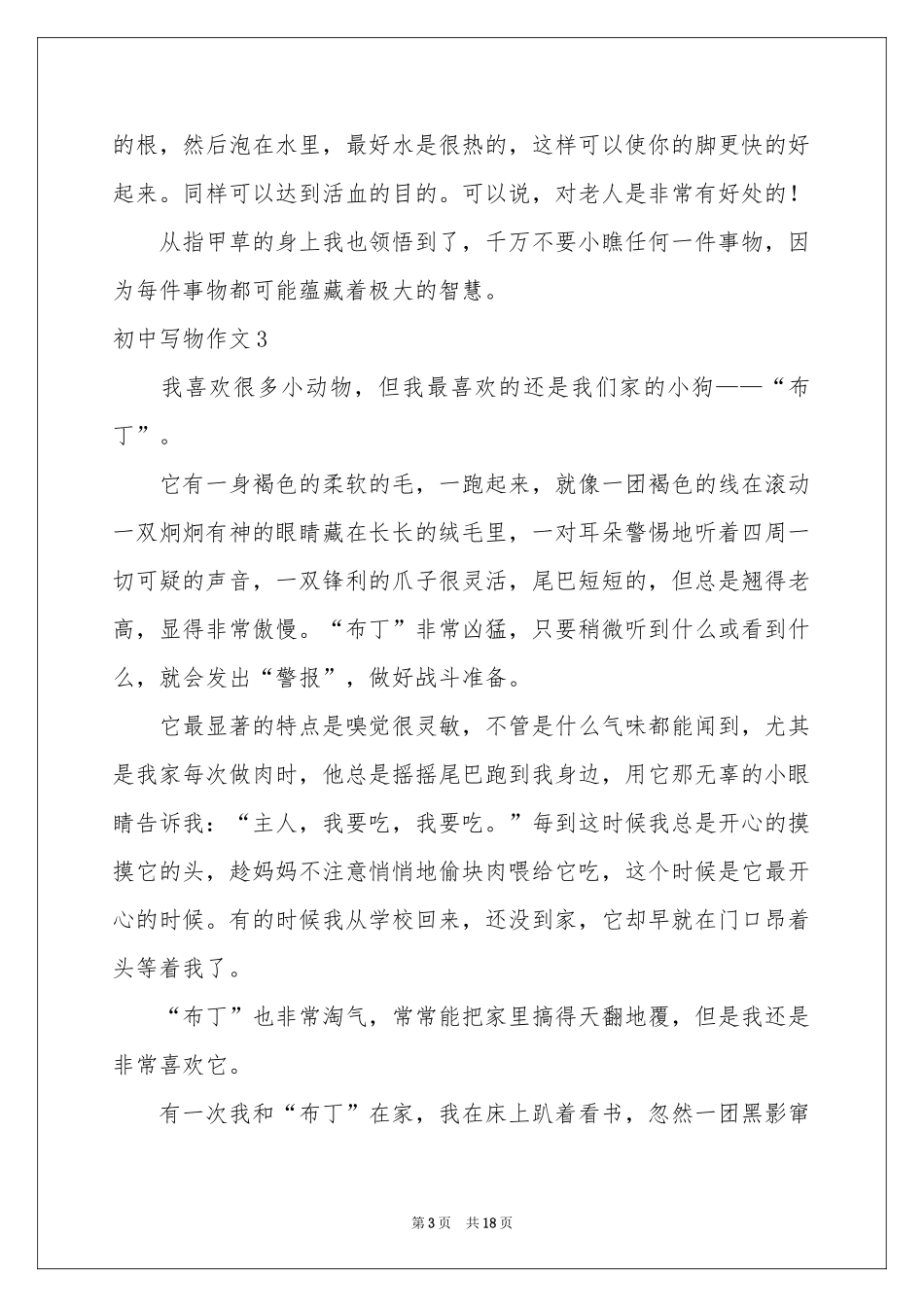 初中写物作文_第3页