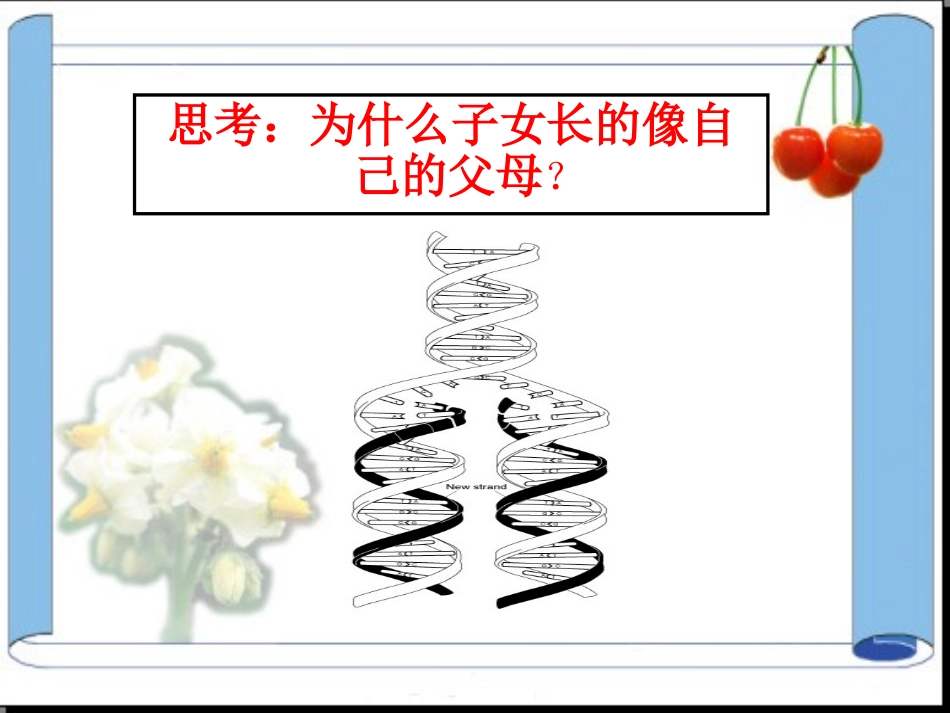 基因对性状的控制_第3页