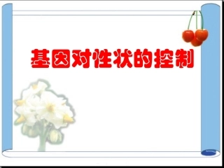 基因对性状的控制