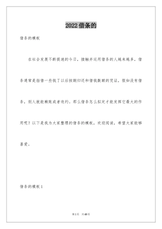 2024借条的