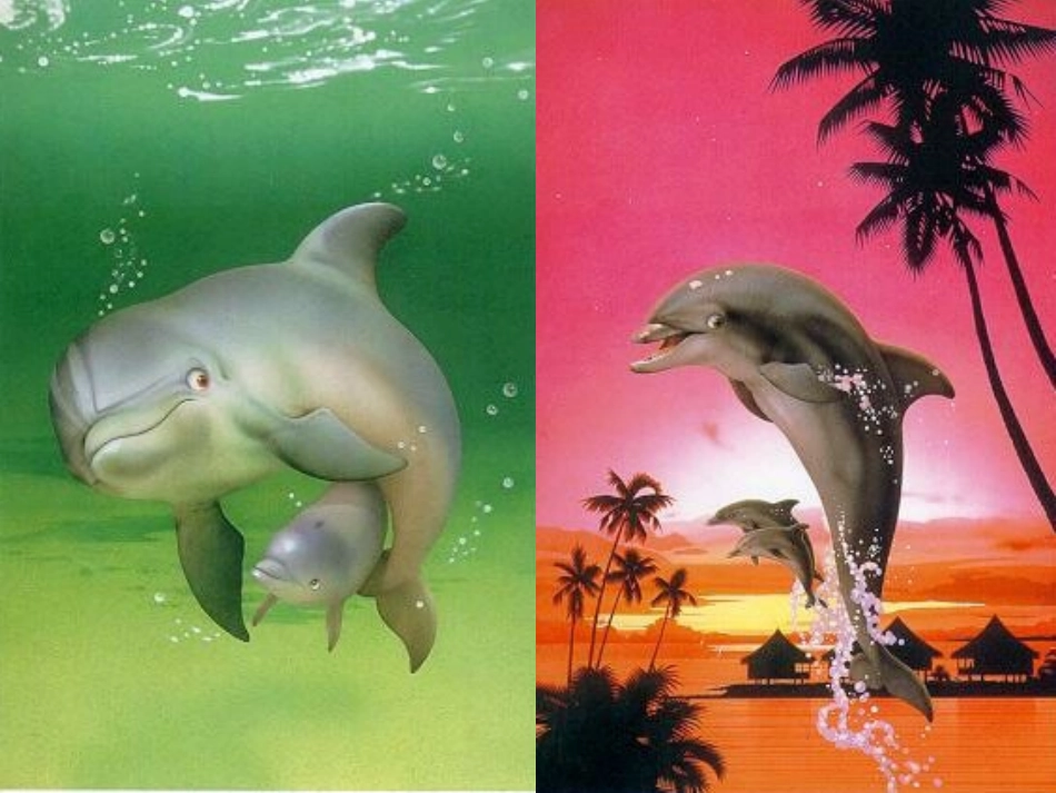 《我的母亲》课件_第3页