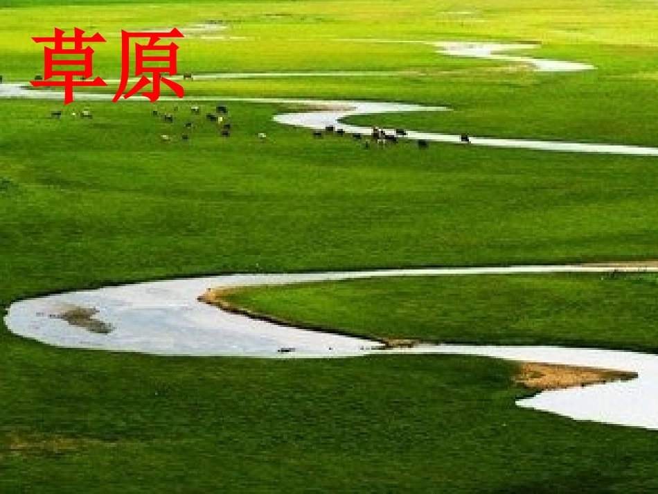 神奇的土地课件_第2页