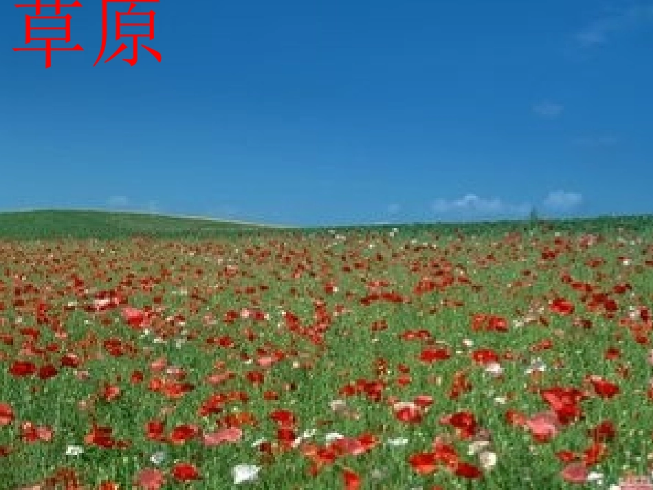 神奇的土地课件_第3页