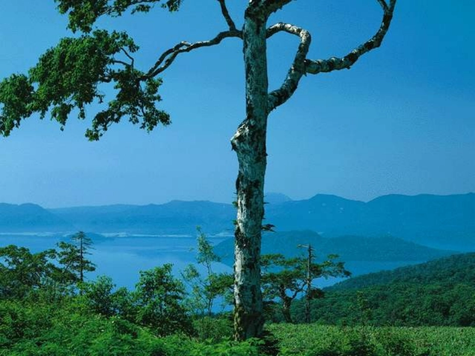 自己的事自己干(公开课)_第2页