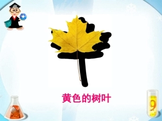 《蓝色的树叶》课件1