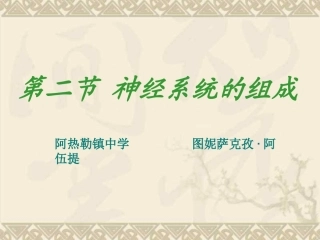 第二节神经系统的组成11