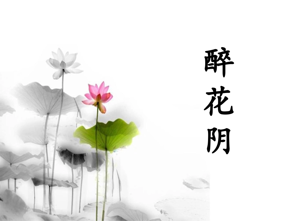 醉花阴李清照张超_第1页