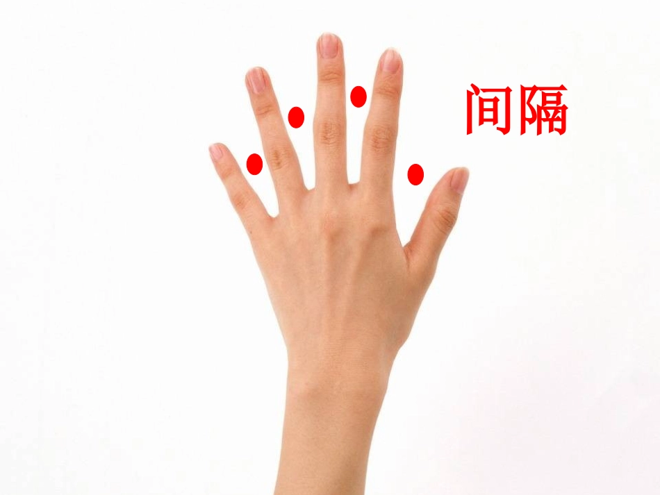 植树问题--人教版小学数学教学课件_第3页