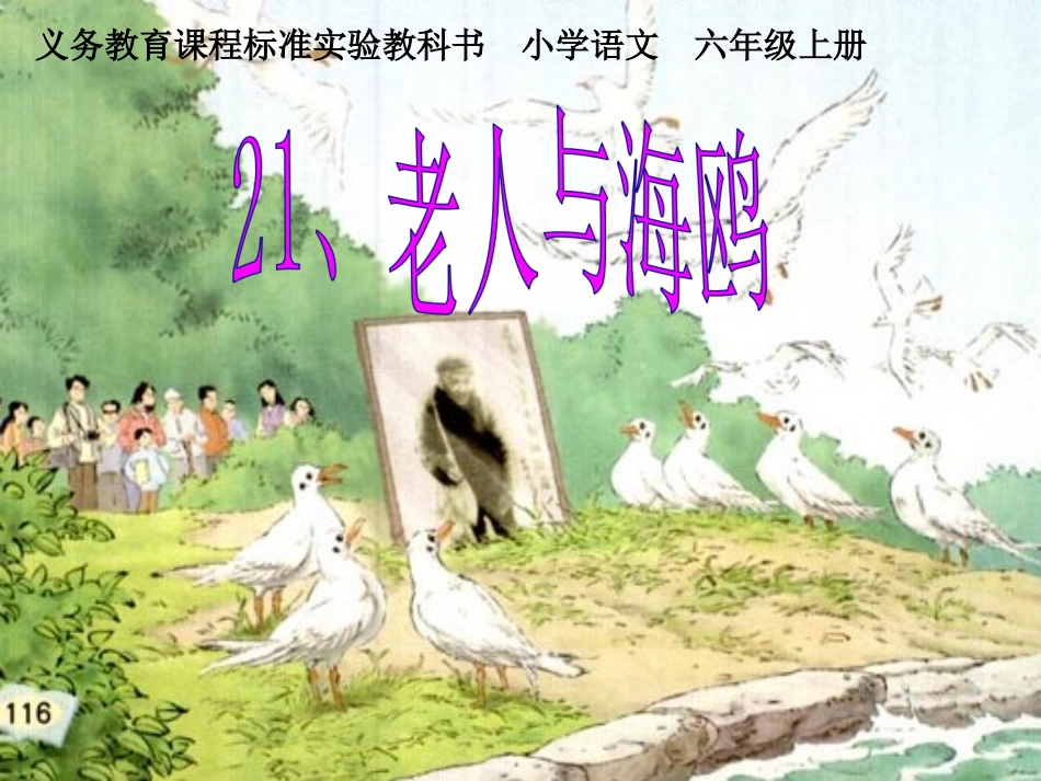 老人与海鸥课件_第1页