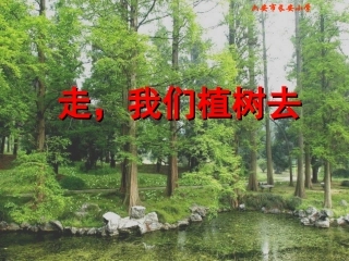 走，我们去植树(1)