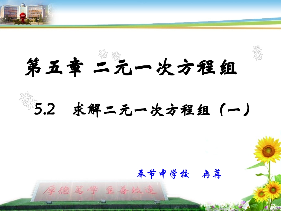 求解二元一次方程组_第1页