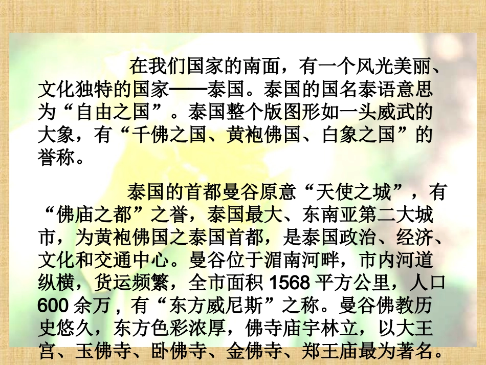与象共舞PPT于晓丽_第3页