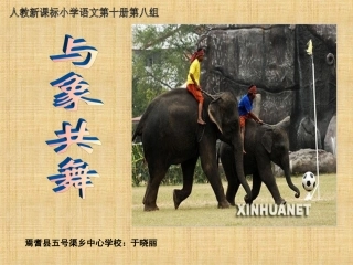 与象共舞PPT于晓丽