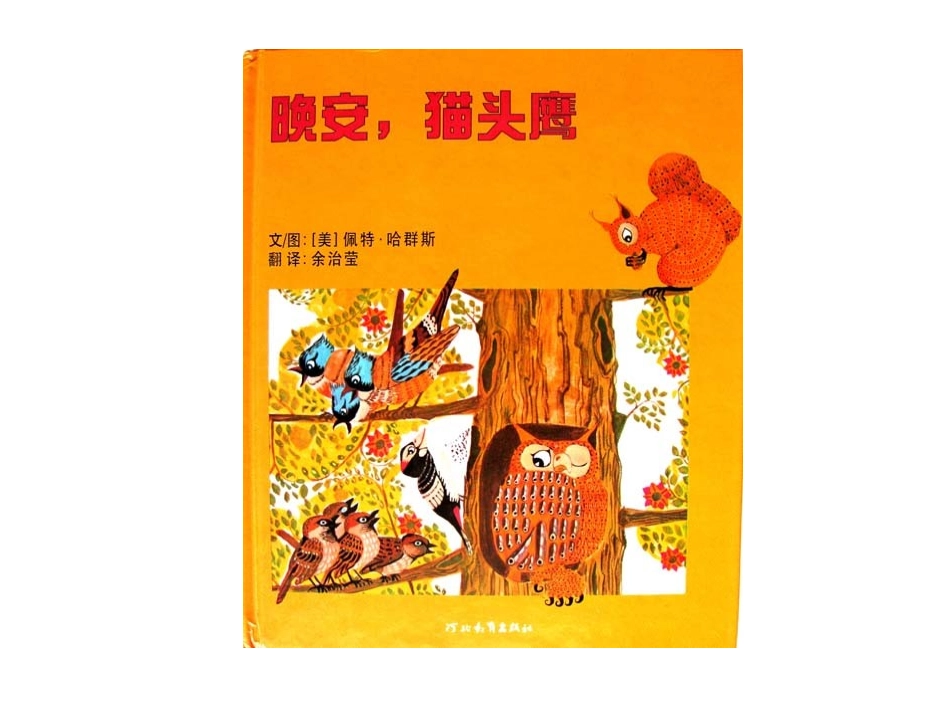 绘本《晚安，猫头鹰》_第1页