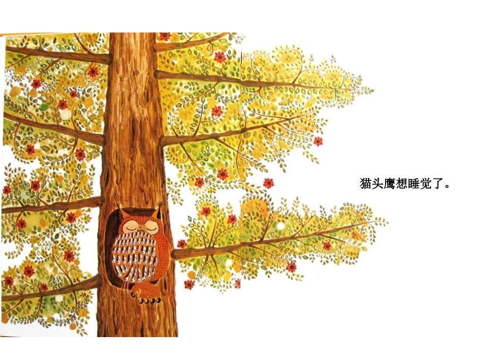 绘本《晚安，猫头鹰》_第3页