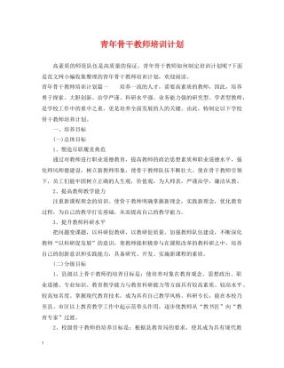 青年骨干教师培训计划 