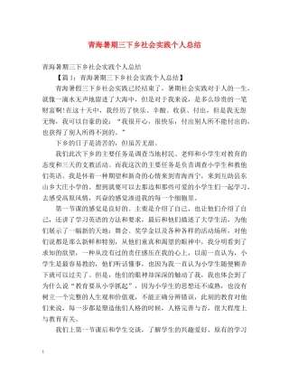 青海暑期三下乡社会实践个人总结 