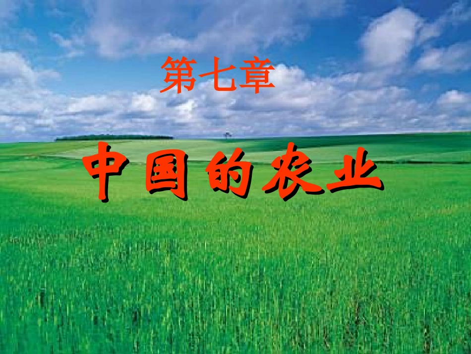 中国的农业（已改）_第1页