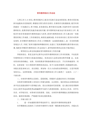 青年教师培训工作总结 