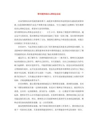 青年教师培训心得体会总结 