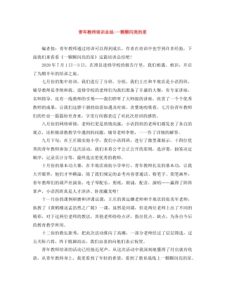 青年教师培训总结-一颗颗闪亮的星 