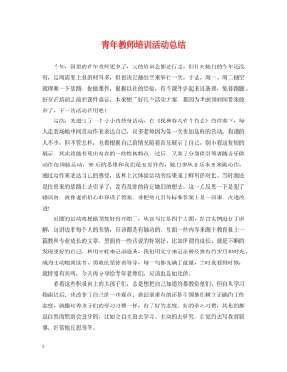 青年教师培训活动总结 