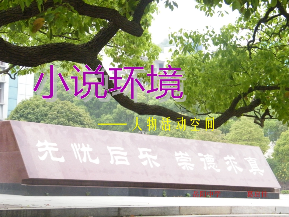 小说环境阅读课 (2)_第1页