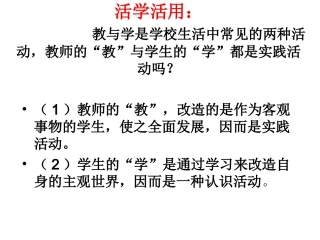 在实践中追求和发展真理正式