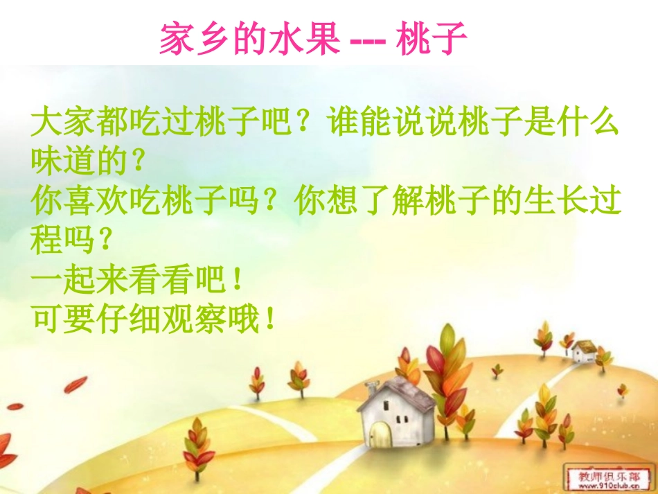 家乡的水果---桃子_第1页