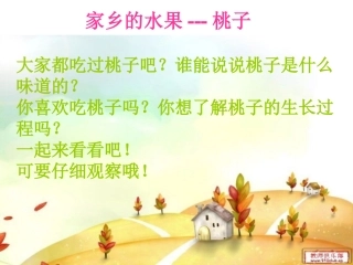 家乡的水果---桃子