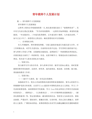 青年教师个人发展计划 (2) 
