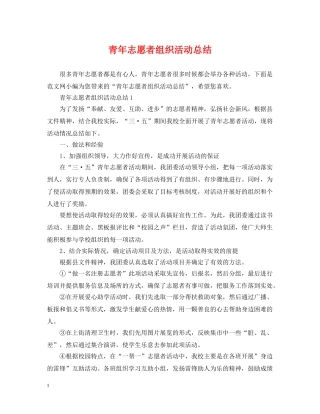 青年志愿者组织活动总结 