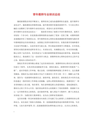 青年教师专业培训总结 