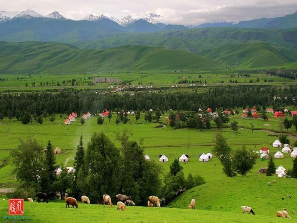 天山牧场课件_第3页