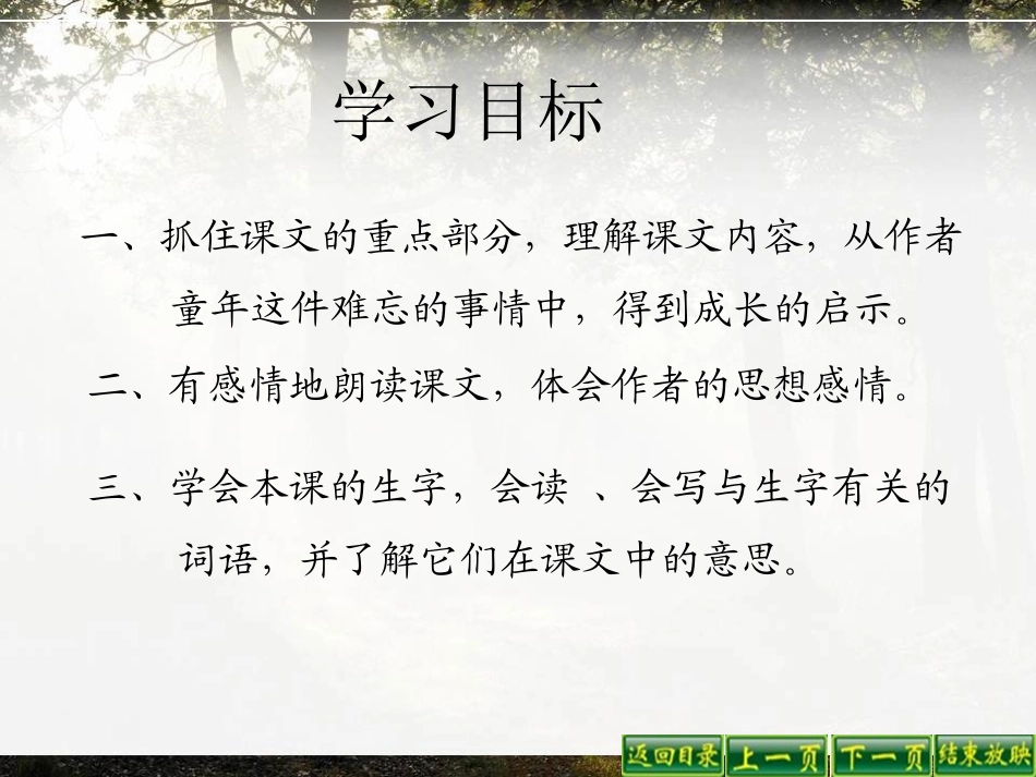 满山的灯笼火把_第2页