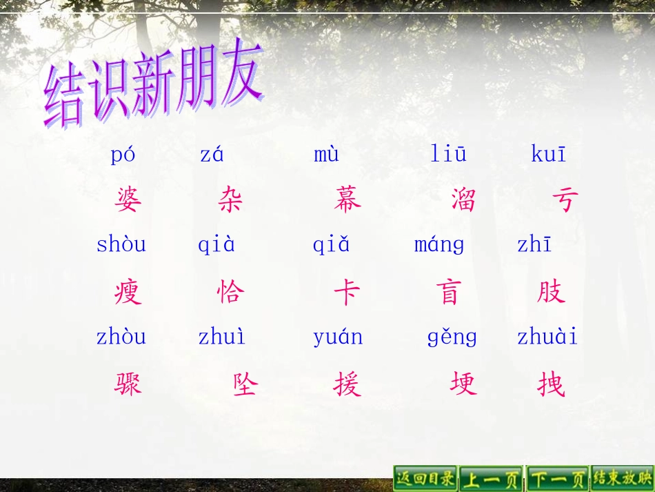 满山的灯笼火把_第3页