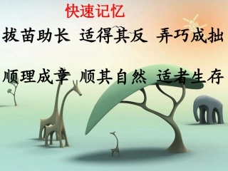 自然之道课件