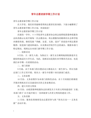 青年志愿者新学期工作计划 