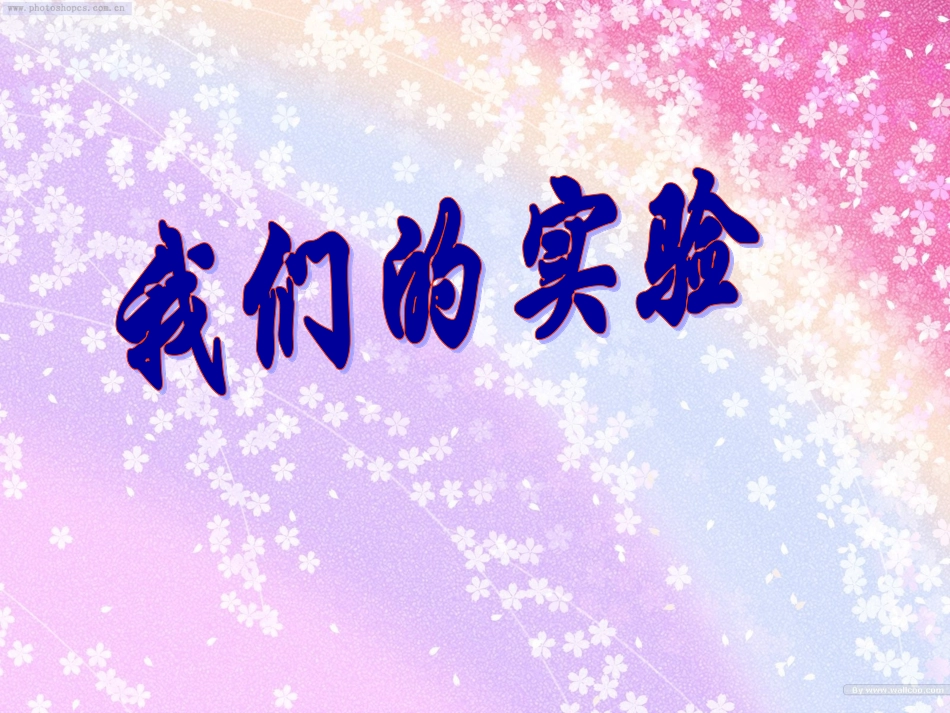 板块表达 ()_第1页