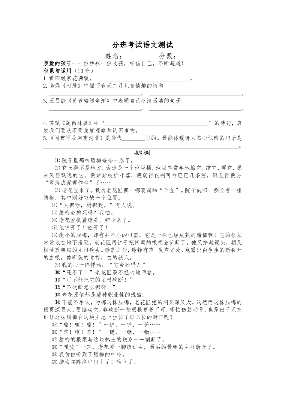 分班考试语文测试_第1页