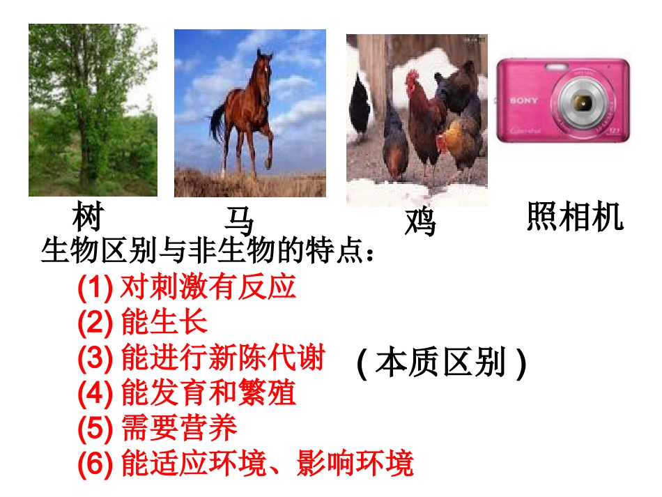第二章观察生物复习黄_第3页