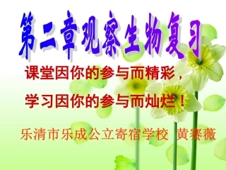 第二章观察生物复习黄