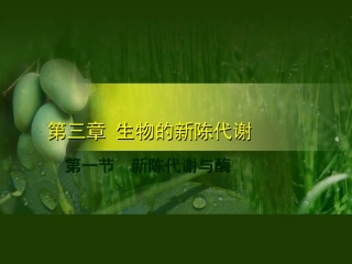 第三章生物的新陈代谢