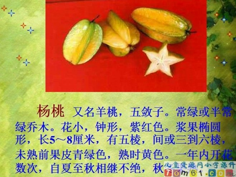 《画杨桃》课件_第2页