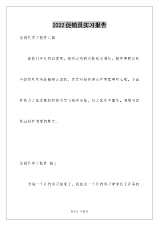 2024促销员实习报告_6